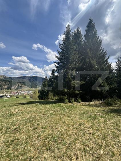 Teren Construcții intravilan de 8450 mp, în Exterior Vest