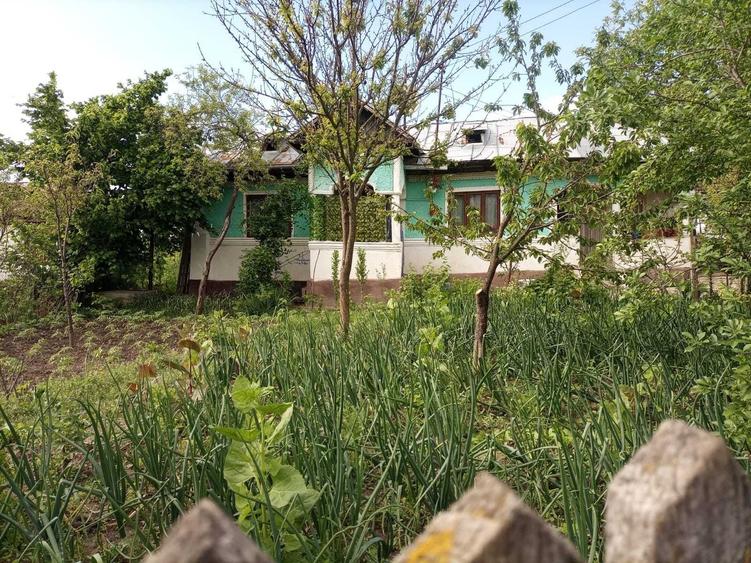 Casă cu 2 camere în Coșerele