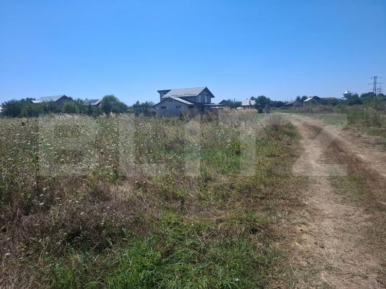 Teren Construcții extravilan de 3000 mp, în Dumbrava