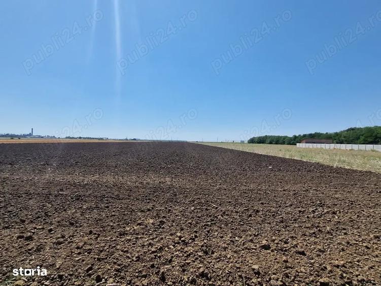 Teren de 60000 mp, în Dragoș Vodă
