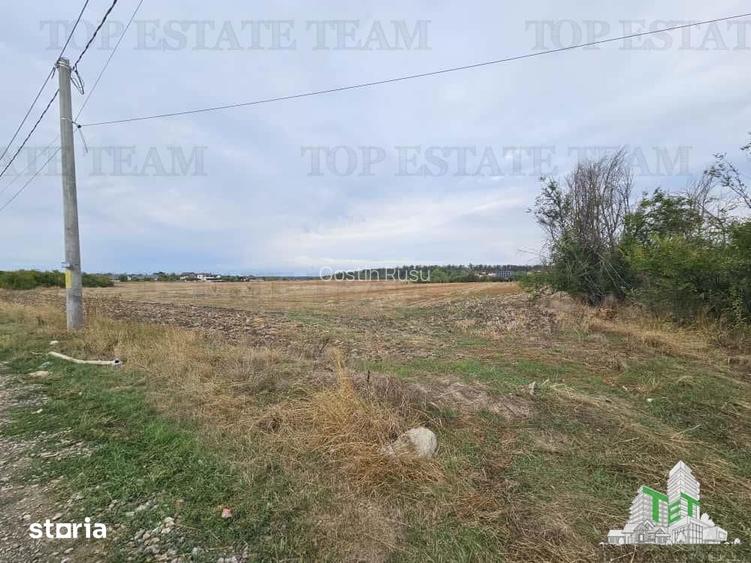 Teren Intravilan pentru constructie, 3000mp, Branesti, Ilfov