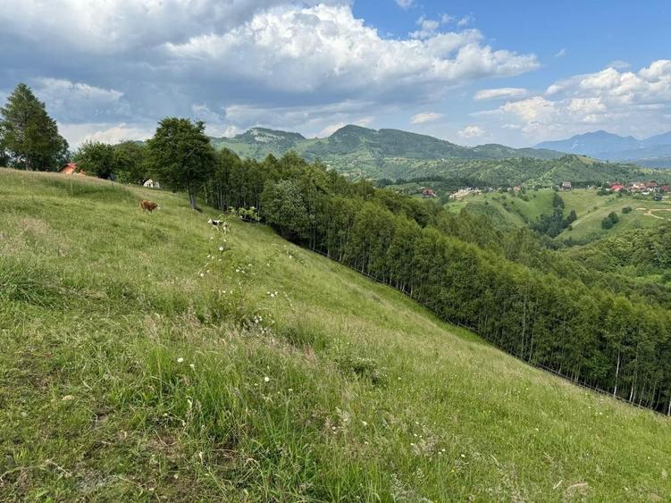 Teren Construcții extravilan de 5392 mp, în Peștera