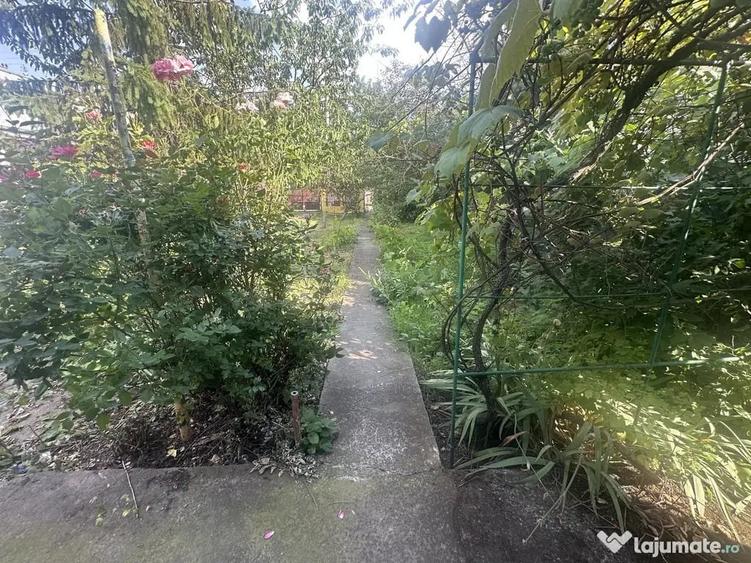 Garsonieră în Central