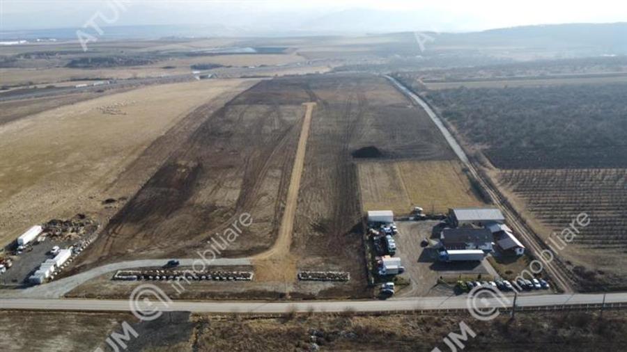 Teren agricol extravilan de 132903 mp, în Exterior Vest