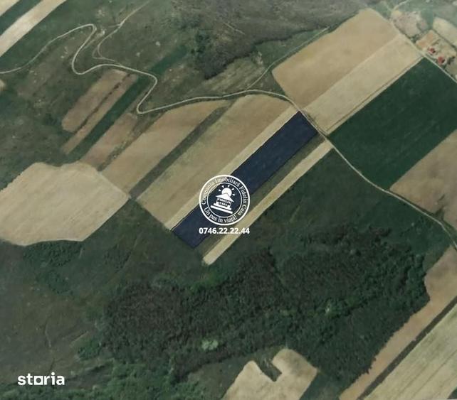 Teren Extravilan 20.700 mp de vanzare, Schitu Duca - 1