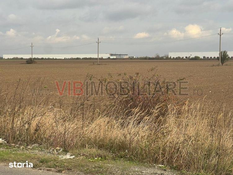 Teren de 22800 mp, în Joița