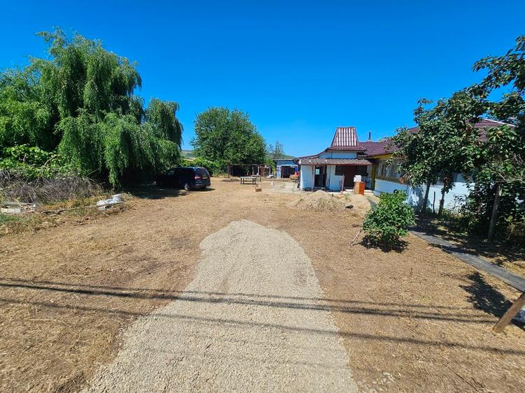 Casă individuală cu 5 camere cu Teren 2974 Mp în Albești-Paleologu