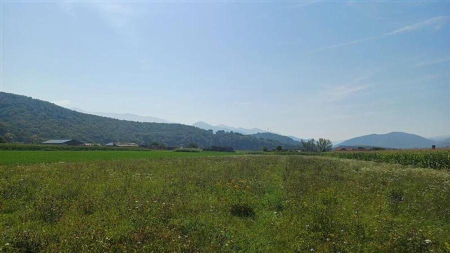 Teren agricol intravilan de 2500 mp, în Periferie