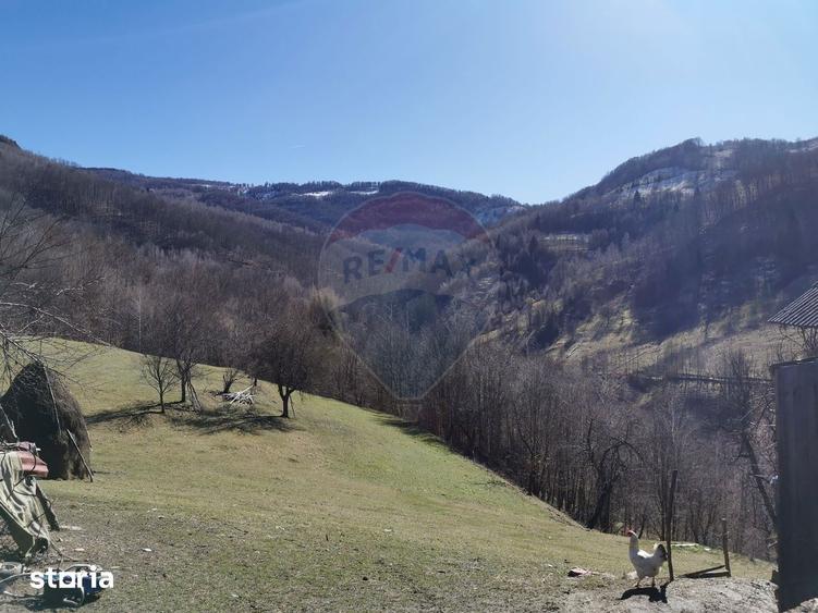 Teren de 10100 mp, în Bulz