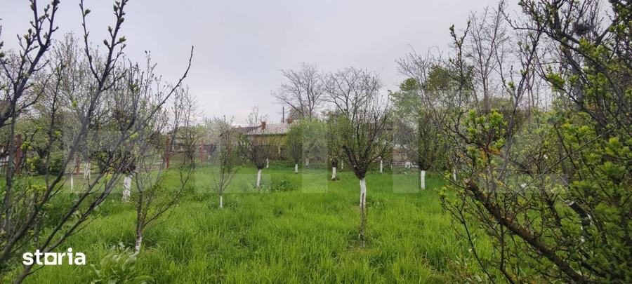 Casa Gaesti Aproape de Centru, 1600 mp Teren Generos - Livada Gra - 16