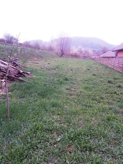 Teren Construcții intravilan de 2000 mp, în Vest