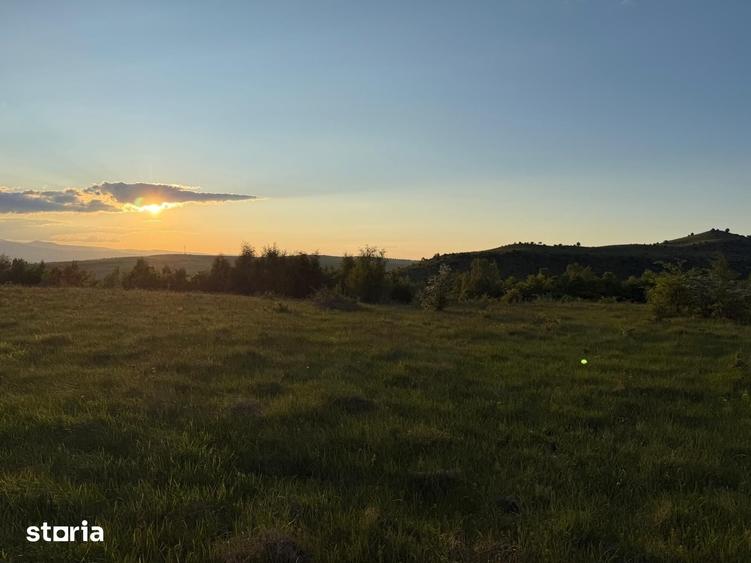 Teren de 1050 mp, în Ciurila