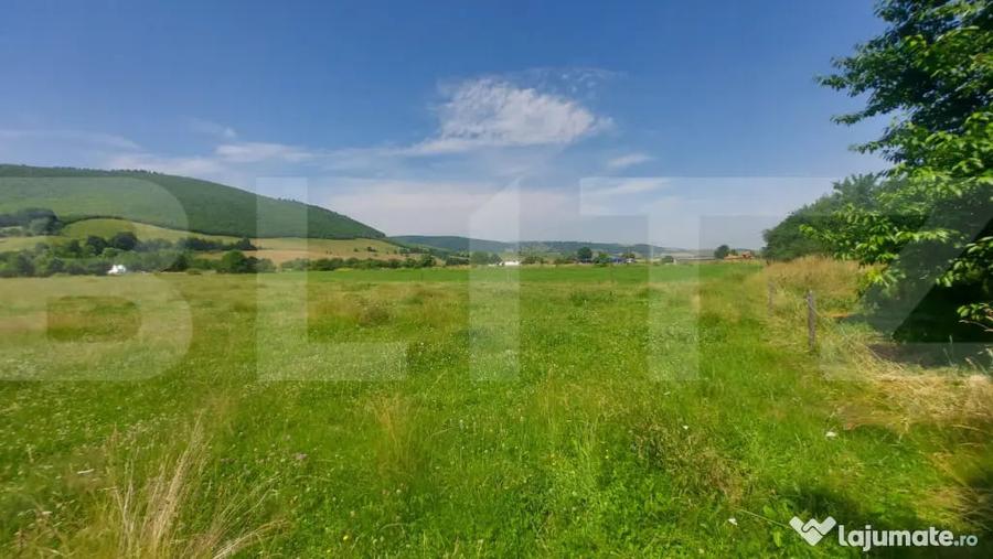 Casa + teren intravil, 3.6 ha I Zagon I Potential turistic s - 9