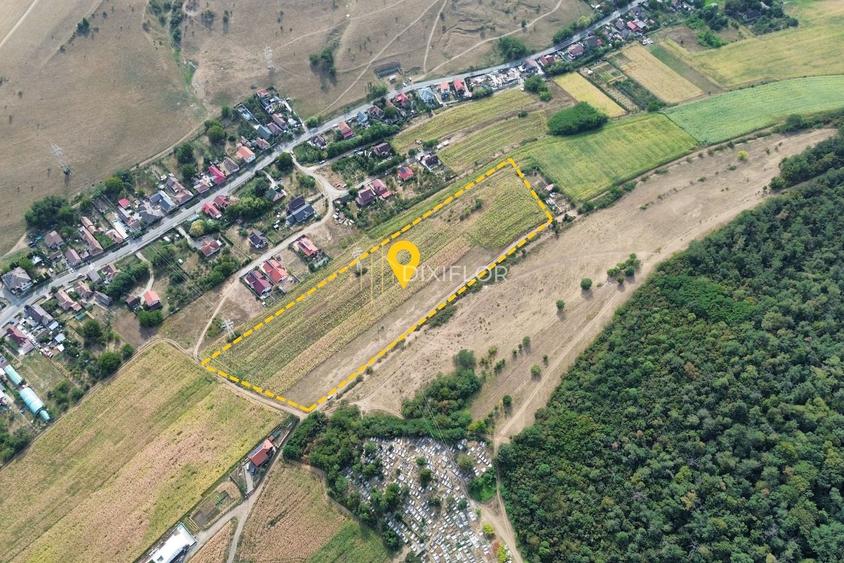 Teren Construcții intravilan de 8100 mp, în Unirii
