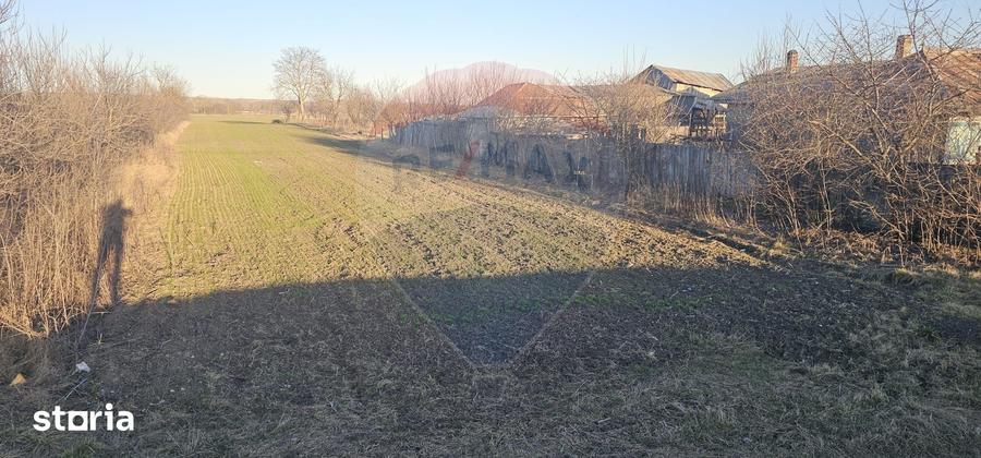 Teren de 6972 mp, în Găiceana