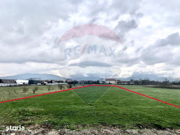 COMISION 0% | Teren intravilan | 7 parcele de 506 mp | PUZ aprobat - 6