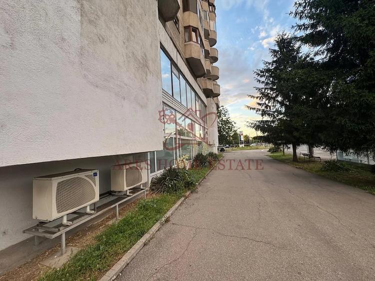 Spa?iu comercial 820 mp de inchiriat Calea Aradului - 14