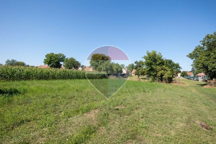 Teren Construcții intravilan de 1620 mp, în Comana de Jos
