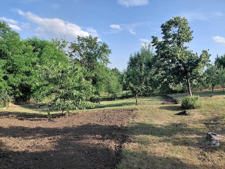 Teren de 700 mp, în Copou