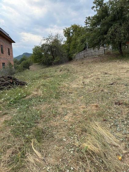 Teren de 5000 mp, în Păușești