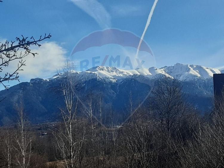 Teren Construcții intravilan de 2885 mp, în Predeluț