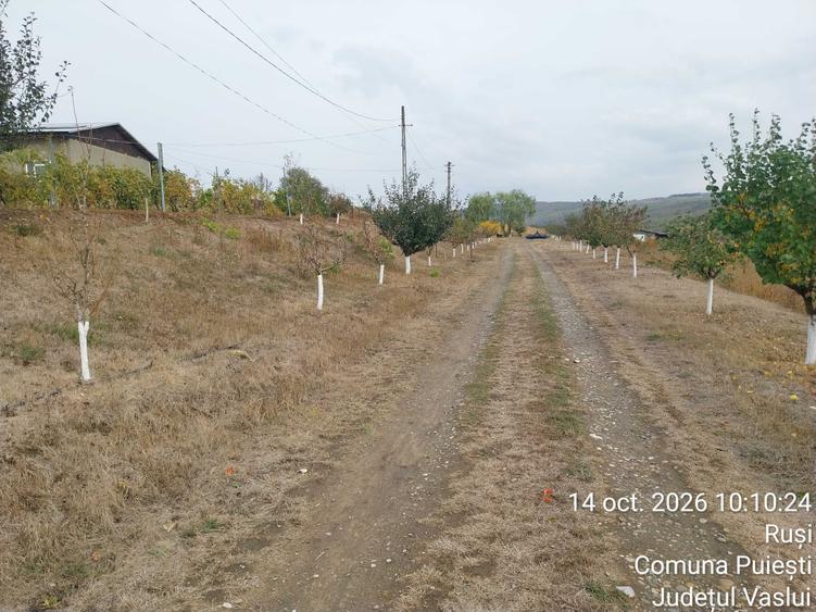 Casă cu 4 camere în Ruși