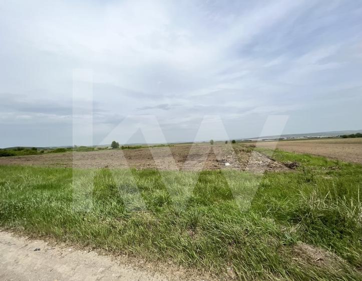 Teren Construcții intravilan de 14800 mp, în Cristian