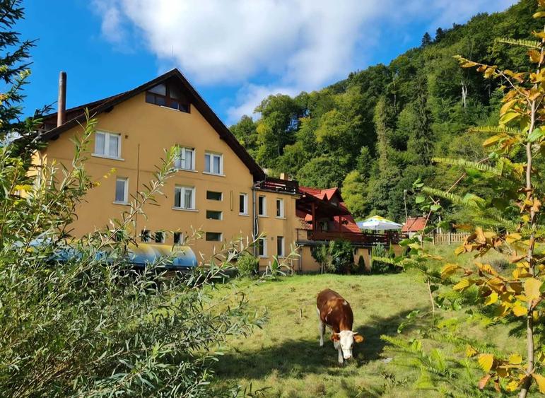 Motel - Pensiune Brasov - Timisul de Jos (DN1) - 2