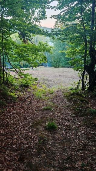 Teren de 7000 mp, în Grădiștea de Munte