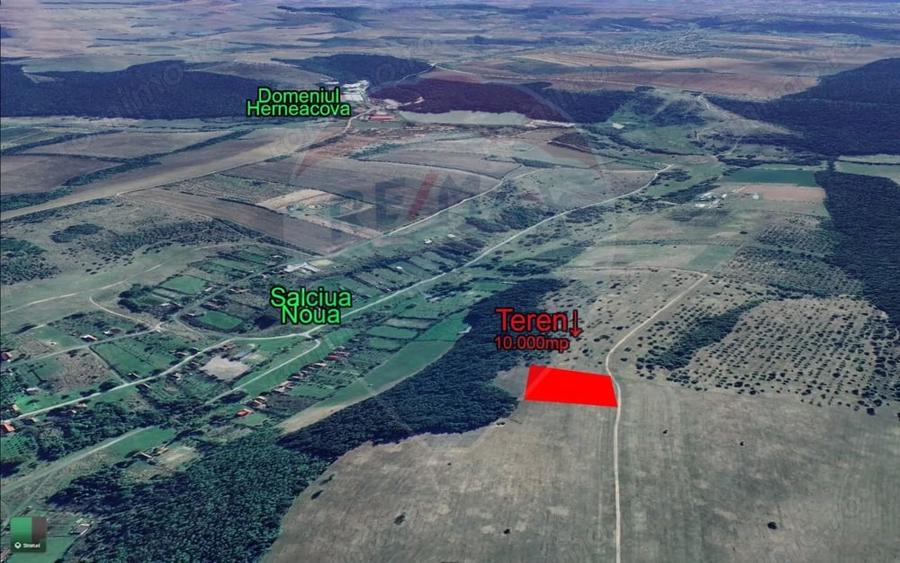 Teren de 10000 mp, în Sălciua Nouă