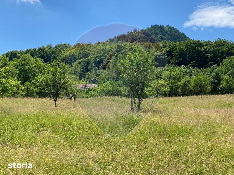Teren de 12458 mp, în Meteș