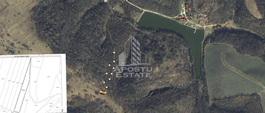 Teren agricol extravilan de 5400 mp, în Cuied