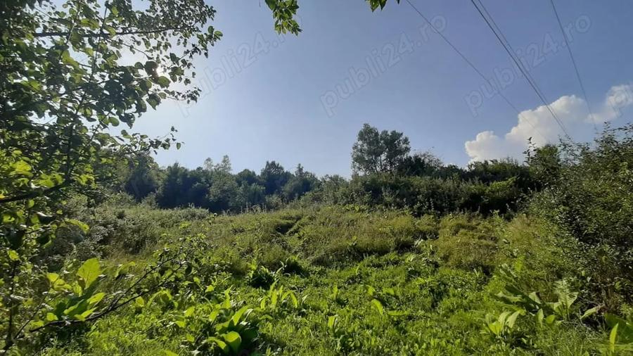 Teren de 3700 mp, în Vâlcănești