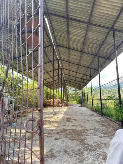 Teren de 115367 mp, în Runcu