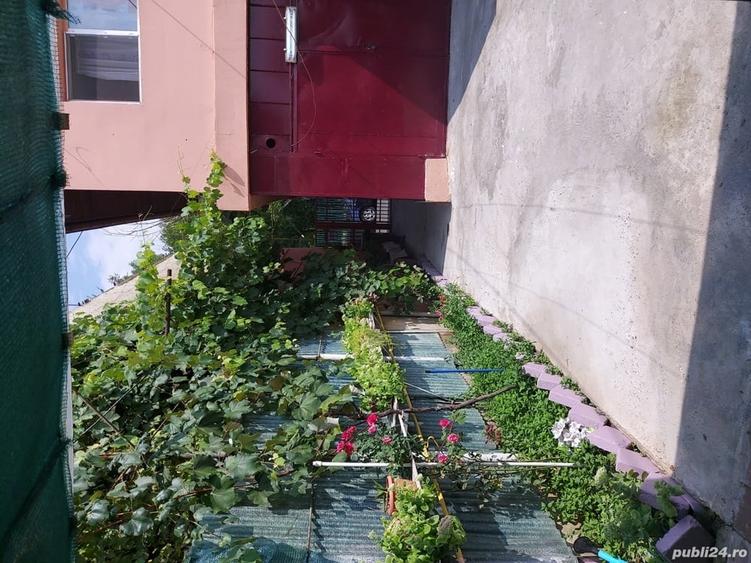 Casă cu 6 camere cu Teren 250 Mp în Central