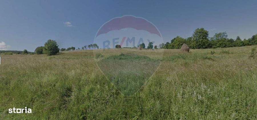 Spațiu comercial, în Mănășturu Românesc
