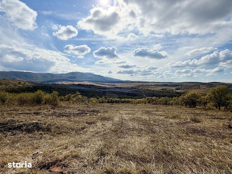 Teren de 6900 mp, în Central