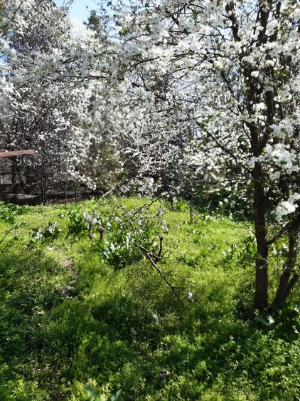 Casă cu 2 camere în Fundeni