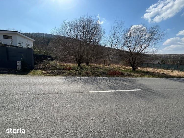 Teren de 2841 mp, în Făget