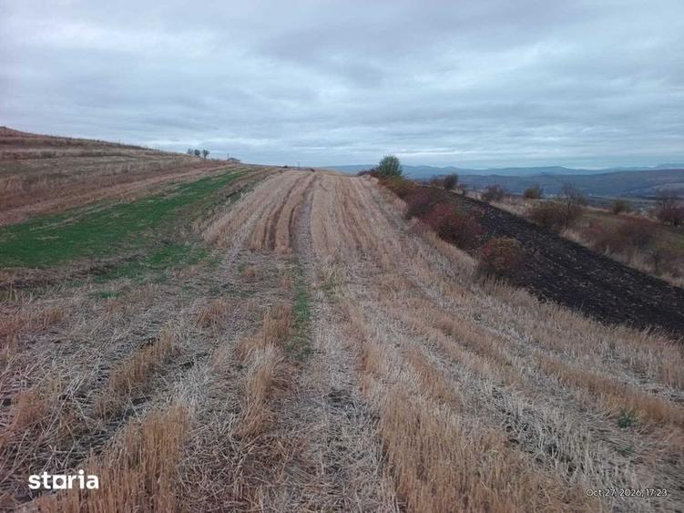 Teren de 5800 mp, în Baciu