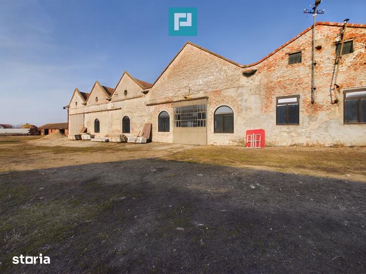 Teren de 7360 mp, în Periam