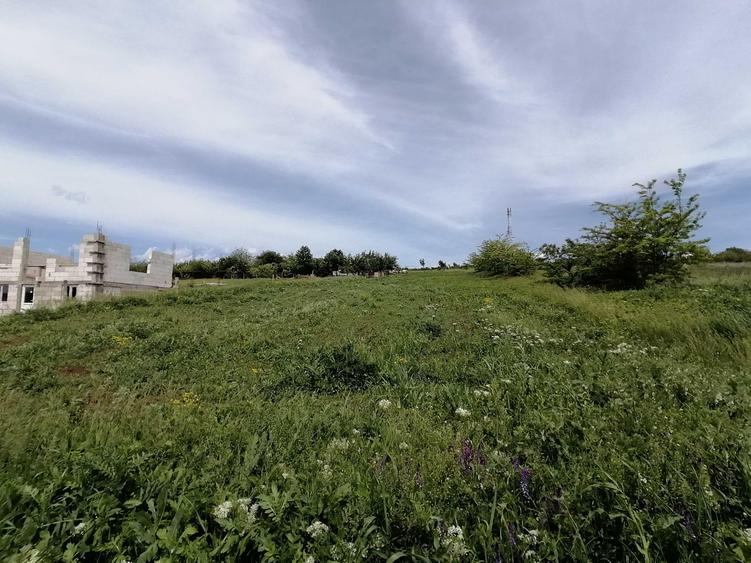 Teren de 3000 mp, în Chicerea