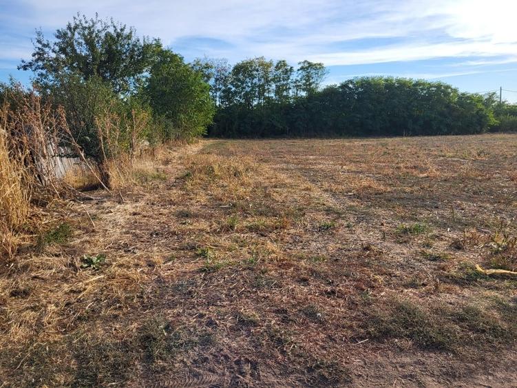 Teren agricol intravilan de 2000 mp, în Vârtopu