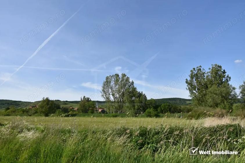 Casă cu Teren 1683 Mp în Băgara