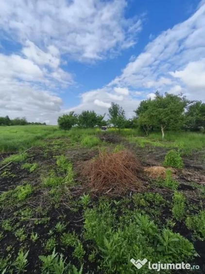 Casă cu 4 camere cu Teren 6000 Mp în Negostina
