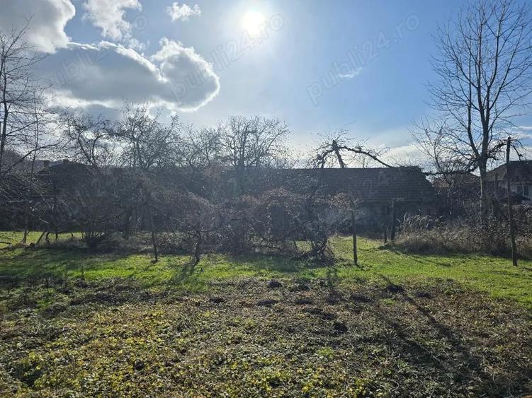 Casă cu 3 camere cu Teren 2500 Mp în Pietroasa