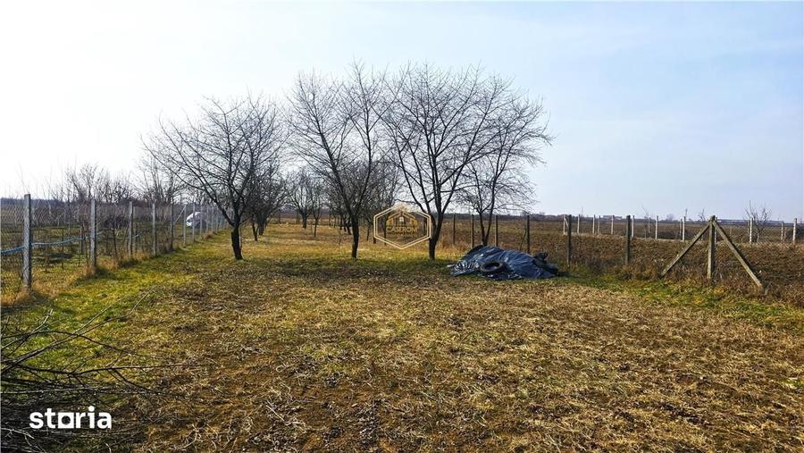 Casă cu 1 camere cu Teren 1160 Mp în Micro 17