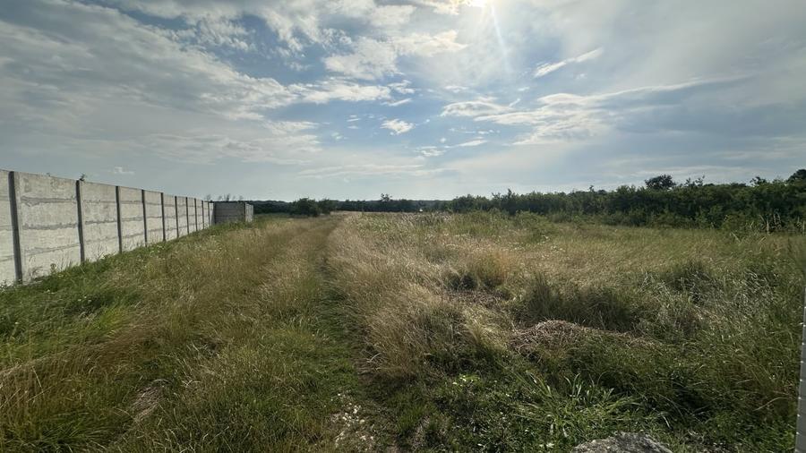 Teren Construcții intravilan de 530 mp, în Albota