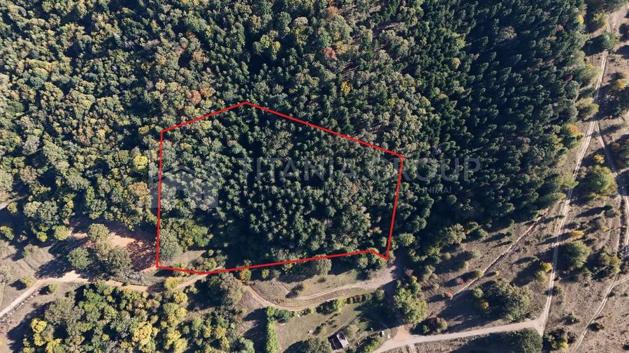 Teren Construcții extravilan de 2283 mp, în Cristian