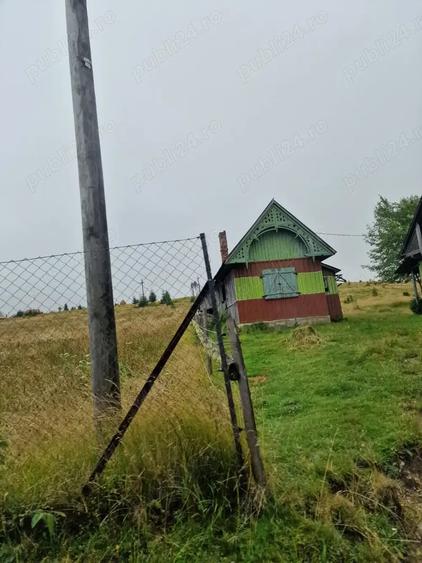 Teren de 7809 mp, în Giurcuța de Sus